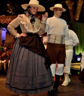 Gala de la Vendimia 2017. Fiestas del Cristo de Tacoronte · foto 53