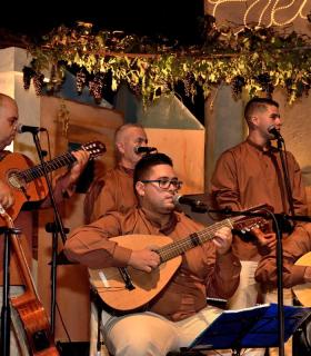 Gala de la Vendimia 2017. Fiestas del Cristo de Tacoronte · foto 35