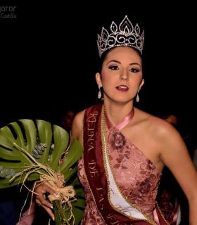 Gala de Elección de la Reina Adulta de El Rosario 2017 · foto 88