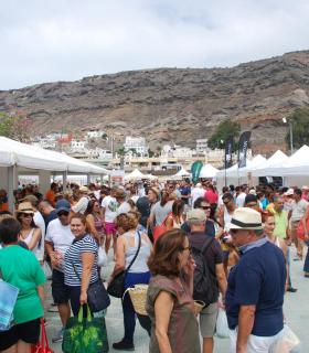 Mogán cierra 2016 con un aumento de actuaciones para el impulso de la agricultura en el municipio. · foto 3