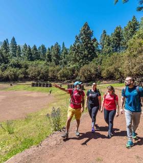 Una ruta por los sabores y paisajes de las medianías de la Orotava, premiada por Fitur. · foto 5