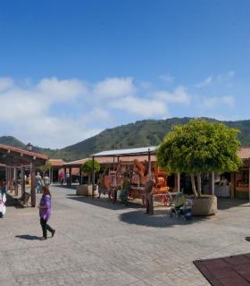 El Mercadillo de Tegueste renueva por quinto año su certificación de calidad ISO 9001, el único que lo posee en toda Canarias. · foto 3