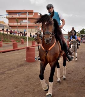 Demostración de arado con yuntas y siembra de sementero, zunchado de ruedas de carreta y carrera de sortija a caballo. San Juan. Tacoronte, 21-01-2017 · foto 56