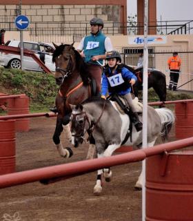Demostración de arado con yuntas y siembra de sementero, zunchado de ruedas de carreta y carrera de sortija a caballo. San Juan. Tacoronte, 21-01-2017 · foto 74