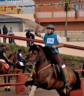 Demostración de arado con yuntas y siembra de sementero, zunchado de ruedas de carreta y carrera de sortija a caballo. San Juan. Tacoronte, 21-01-2017 · foto 65