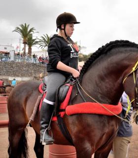 Demostración de arado con yuntas y siembra de sementero, zunchado de ruedas de carreta y carrera de sortija a caballo. San Juan. Tacoronte, 21-01-2017 · foto 60
