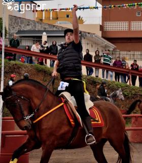 Demostración de arado con yuntas y siembra de sementero, zunchado de ruedas de carreta y carrera de sortija a caballo. San Juan. Tacoronte, 21-01-2017 · foto 63
