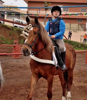 Demostración de arado con yuntas y siembra de sementero, zunchado de ruedas de carreta y carrera de sortija a caballo. San Juan. Tacoronte, 21-01-2017 · foto 110