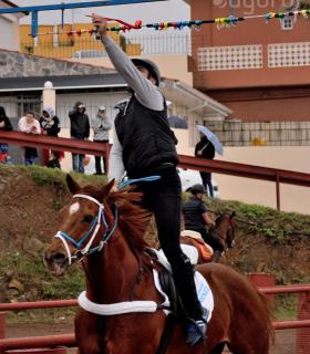 Demostración de arado con yuntas y siembra de sementero, zunchado de ruedas de carreta y carrera de sortija a caballo. San Juan. Tacoronte, 21-01-2017 · foto 68