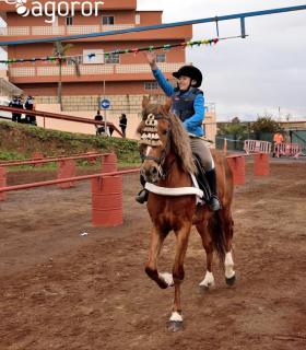 Demostración de arado con yuntas y siembra de sementero, zunchado de ruedas de carreta y carrera de sortija a caballo. San Juan. Tacoronte, 21-01-2017 · foto 112