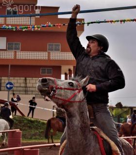 Demostración de arado con yuntas y siembra de sementero, zunchado de ruedas de carreta y carrera de sortija a caballo. San Juan. Tacoronte, 21-01-2017 · foto 98