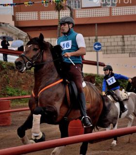 Demostración de arado con yuntas y siembra de sementero, zunchado de ruedas de carreta y carrera de sortija a caballo. San Juan. Tacoronte, 21-01-2017 · foto 72