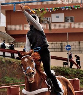 Demostración de arado con yuntas y siembra de sementero, zunchado de ruedas de carreta y carrera de sortija a caballo. San Juan. Tacoronte, 21-01-2017 · foto 97
