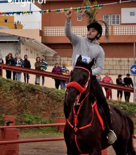 Demostración de arado con yuntas y siembra de sementero, zunchado de ruedas de carreta y carrera de sortija a caballo. San Juan. Tacoronte, 21-01-2017 · foto 62
