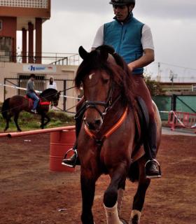 Demostración de arado con yuntas y siembra de sementero, zunchado de ruedas de carreta y carrera de sortija a caballo. San Juan. Tacoronte, 21-01-2017 · foto 106