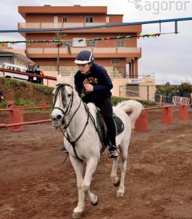 Demostración de arado con yuntas y siembra de sementero, zunchado de ruedas de carreta y carrera de sortija a caballo. San Juan. Tacoronte, 21-01-2017 · foto 113