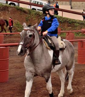Demostración de arado con yuntas y siembra de sementero, zunchado de ruedas de carreta y carrera de sortija a caballo. San Juan. Tacoronte, 21-01-2017 · foto 109