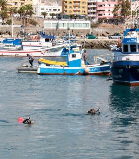 Los voluntarios retiran más de 10 toneladas de residuos del fondo marino del Puerto de Arguineguín. · foto 5