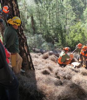 Personal del Servicio Insular de Medio Ambiente de La Palma recibe formación sobre el uso de maquinaria forestal. · foto 2