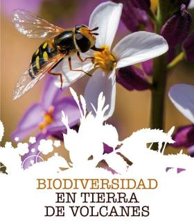 Una publicación recoge los trabajos premiados en el certamen de investigación sobre el Parque Nacional del Teide. · foto 1