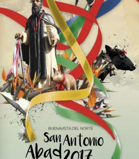 Buenavista del Norte se prepara para la celebración de su día grande de las Fiestas en honor a San Antonio Abad. · foto 2