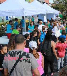 Más de mil participantes asisten a las Olimpiadas por la Paz en Arguineguín. · foto 3
