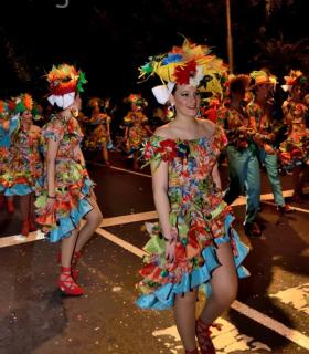 Cabalgata anunciadora del Carnaval de Santa Cruz de Tenerife 2017 · foto 74