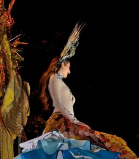 Cabalgata anunciadora del Carnaval de Santa Cruz de Tenerife 2017 · foto 115