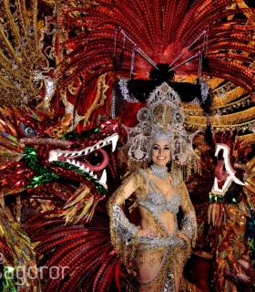Cabalgata anunciadora del Carnaval de Santa Cruz de Tenerife 2017 · foto 69