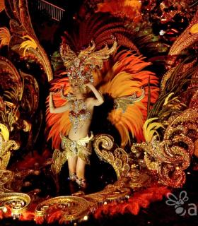 Cabalgata anunciadora del Carnaval de Santa Cruz de Tenerife 2017 · foto 2