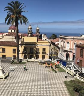 Ya se han eliminado las seis palmeras de la Plaza del Ayuntamiento de La Orotava que estaban en mal estado. · foto 10