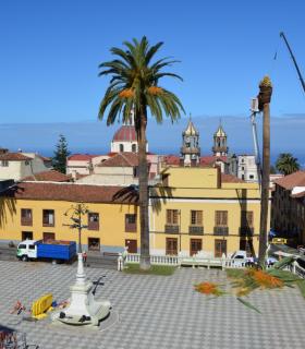 Ya se han eliminado las seis palmeras de la Plaza del Ayuntamiento de La Orotava que estaban en mal estado. · foto 20