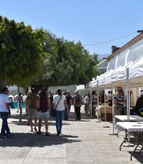 Machado se convirtió ayer en punto de encuentro de las tradiciones y la cultura canaria. · foto 1