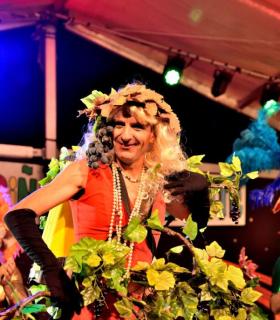 Gala Miss Mosto 2017. Piñata Chica de Tacoronte. Carnavales · foto 24