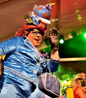 Gala Miss Mosto 2017. Piñata Chica de Tacoronte. Carnavales · foto 22