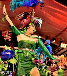 Gala Miss Mosto 2017. Piñata Chica de Tacoronte. Carnavales · foto 8