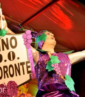 Gala Miss Mosto 2017. Piñata Chica de Tacoronte. Carnavales · foto 35