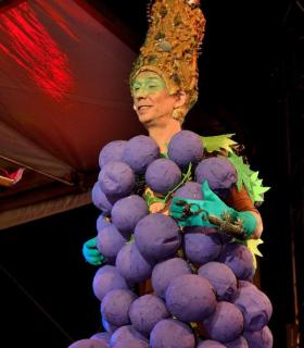Gala Miss Mosto 2017. Piñata Chica de Tacoronte. Carnavales · foto 7