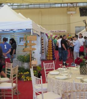 Gran acogida de público a la 3ª Feria Días de Celebración celebrada este fín de semana en Santa María de Guía. · foto 12