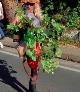 Coso Apoteosis del Carnaval de la Piñata Chica de Tacoronte · foto 93