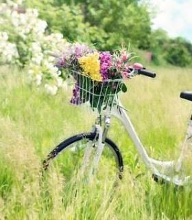 ¿La primavera la sangre altera..? · foto 1