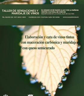 Los mejores vinos de Tenerife se dan cita este domingo en Chirche. · foto 6