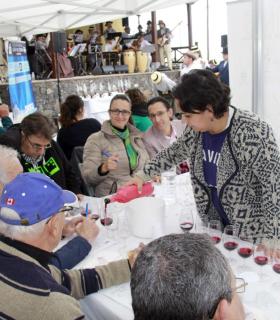 Los mejores vinos de Tenerife se dan cita este domingo en Chirche. · foto 1