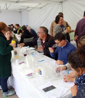 Los mejores vinos de Tenerife se dan cita este domingo en Chirche. · foto 3