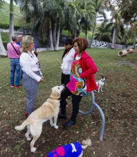 El Ayuntamiento de Las Palmas de Gran Canaria crea una nueva área para perros en el Mirador de La Minilla. · foto 1