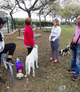 El Ayuntamiento de Las Palmas de Gran Canaria crea una nueva área para perros en el Mirador de La Minilla. · foto 3