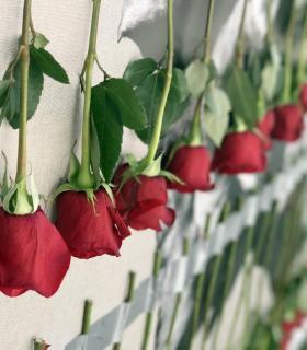 Más de 10 mil flores adornan las calles de Guía en la IX edición de su Pascua Florida. · foto 8