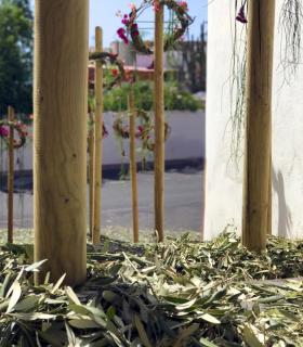 Más de 10 mil flores adornan las calles de Guía en la IX edición de su Pascua Florida. · foto 6