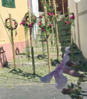 Más de 10 mil flores adornan las calles de Guía en la IX edición de su Pascua Florida. · foto 4