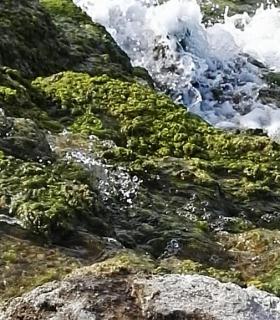 Sendero Tierra del Trigo – cascada barranco Lomo Morin (Los Silos). · foto 2